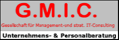 G.M.I.C. Gesellschaft für Management und strat. IT-Consulting